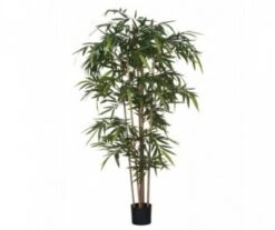 BAMBOU ARTIFICIEL VERT - H180XD75CM