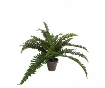 BOSTON FOUGER ARTIFICIEL VERT POT D11,5CM 1 BOSTON FOUGER ARTIFICIEL VERT POT D11,5CM
