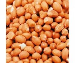 CACAHUÈTES DÉCORTIQUÉES 5KG - NATURES MARKET