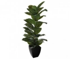 CAOUTCHOUC ARTIFICIEL VERT EN POT H115