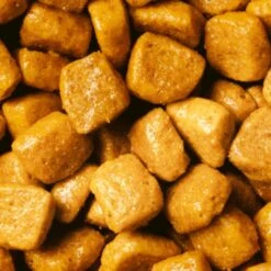 CROQUETTES ADULTE STERILISED +7ANS DINDE 3KG - PURINA PRO PLAN -Jardin Extérieur cat senior 7 steri dinde 15k 2