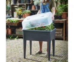 CLOCHE TRANSLUCIDE CALIPSO