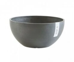 COUPE BRUSSELS CIMENT D30CM R