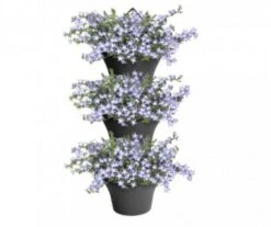 Elho COUPE CORSICA VERTICALE -Jardin Extérieur coupe corsica verticale 2