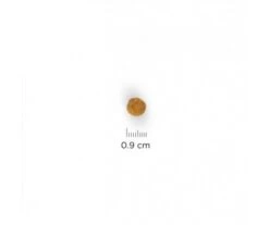 CROQUETTE CHAT ADULT YOUTHFUL VITALITY POULET 1,5KG - Hill's SCIENCE PLAN 7 CROQUETTE CHAT ADULT YOUTHFUL VITALITY POULET 1,5KG - Hill's SCIENCE PLAN -Jardin Extérieur croquette feline adult 1