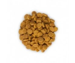 CROQUETTE CHAT ADULT YOUTHFUL VITALITY POULET 1,5KG - Hill's SCIENCE PLAN 8 CROQUETTE CHAT ADULT YOUTHFUL VITALITY POULET 1,5KG - Hill's SCIENCE PLAN -Jardin Extérieur croquette feline adult 2