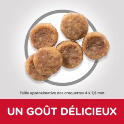 CROQUETTES CHIEN ADULTE SMALL & MINI POULET 3KG - HILL'S 6 CROQUETTES CHIEN ADULTE SMALL & MINI POULET 3KG - HILL'S -Jardin Extérieur croquettes adult small mini