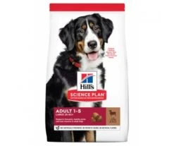 CROQUETTES CHIEN ADULTE GRANDE RACE AGNEAU RIZ 12KG - HILL'S