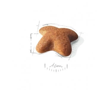 CROQUETTES CHIEN BEAGLE ADULT 12KG - ROYAL CANIN 2 CROQUETTES CHIEN BEAGLE ADULT 12KG - ROYAL CANIN – Image 2