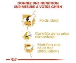 CROQUETTES CHIEN BEAGLE ADULT 12KG - ROYAL CANIN 7 CROQUETTES CHIEN BEAGLE ADULT 12KG - ROYAL CANIN -Jardin Extérieur croquettes beagle adult 12kg 2