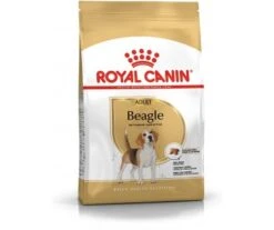 CROQUETTES CHIEN BEAGLE ADULT 12KG - ROYAL CANIN