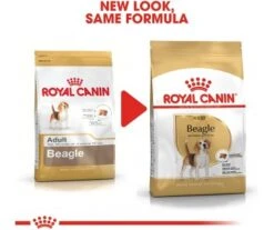 CROQUETTES CHIEN BEAGLE ADULT 12KG - ROYAL CANIN 9 CROQUETTES CHIEN BEAGLE ADULT 12KG - ROYAL CANIN -Jardin Extérieur croquettes beagle adult 12kg 4