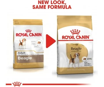 CROQUETTES CHIEN BEAGLE ADULT 12KG - ROYAL CANIN 5 CROQUETTES CHIEN BEAGLE ADULT 12KG - ROYAL CANIN – Image 5