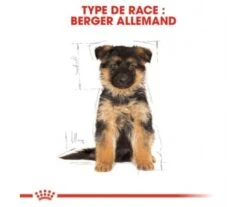 CROQUETTES CHIOT BERGER ALLEMAND 12KG - ROYAL CANIN -Jardin Extérieur croquettes berger allemand 12kg 3