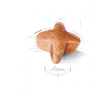 CROQUETTES CHIEN BERGER ALLEMAND ADULT 11KG - ROYAL CANIN 2 CROQUETTES CHIEN BERGER ALLEMAND ADULT 11KG - ROYAL CANIN – Image 2