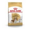 CROQUETTES CHIEN CAVALIER KING CHARLES ADULT 3KG - ROYAL CANIN