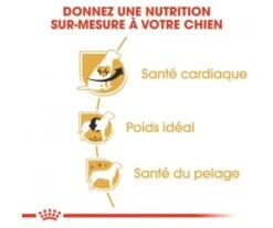 CROQUETTES CHIEN CAVALIER KING CHARLES ADULT 3KG - ROYAL CANIN -Jardin Extérieur croquettes cavalier k charles 2