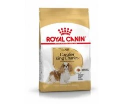 CROQUETTES CHIEN CAVALIER KING CHARLES ADULT 3KG - ROYAL CANIN