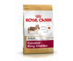 CROQUETTES CHIEN CAVALIER KING CHARLES ADULT 3KG - ROYAL CANIN -Jardin Extérieur croquettes cavalier k charles 4