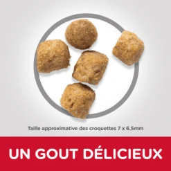 Hill's CROQUETTES CHAT ADULT URINARY HEALTH POULET 3KG - HILL’S SCIENCE PLAN 5 Hill's CROQUETTES CHAT ADULT URINARY HEALTH POULET 3KG - HILL’S SCIENCE PLAN -Jardin Extérieur croquettes feline adult
