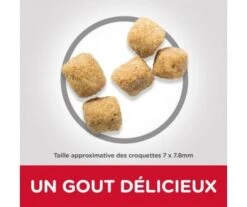 CROQUETTES CHAT MATURE 7+ LIGHT POULET 1.5KG - Hill's Science Plan -Jardin Extérieur croquettes feline mature 7 3