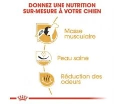 CROQUETTES CHIEN ADULT FRENCH BULLDOG 3KG - ROYAL CANIN -Jardin Extérieur croquettes french bulldog 3kg 2