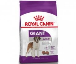 CROQUETTES CHIEN GIANT ADULT 15KG - ROYAL CANIN