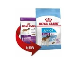 CROQUETTES CHIEN GIANT JUNIOR 15KG - ROYAL CANIN 11 CROQUETTES CHIEN GIANT JUNIOR 15KG - ROYAL CANIN -Jardin Extérieur croquettes giant junior 15kg 5