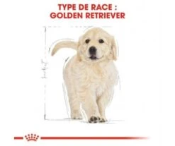 CROQUETTES CHIOT GOLDEN RETRIEVER 12KG - ROYAL CANIN 5 CROQUETTES CHIOT GOLDEN RETRIEVER 12KG - ROYAL CANIN -Jardin Extérieur croquettes golden junior 12kg 2