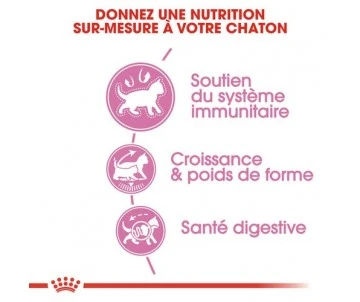 CROQUETTES CHATON STERILISED 2KG - ROYAL CANIN 2 CROQUETTES CHATON STERILISED 2KG - ROYAL CANIN – Image 2