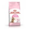 CROQUETTES CHATON STERILISED 2KG - ROYAL CANIN
