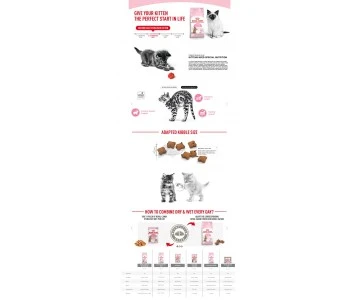 CROQUETTES CHATON STERILISED 2KG - ROYAL CANIN 4 CROQUETTES CHATON STERILISED 2KG - ROYAL CANIN – Image 4