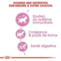 CROQUETTES CHATON STERILISED 3.5KG - ROYAL CANIN -Jardin Extérieur croquettes kitten sterilised 2kg 5
