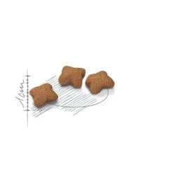 CROQUETTES CHATON STERILISED 3.5KG - ROYAL CANIN -Jardin Extérieur croquettes kitten sterilised 2kg 6