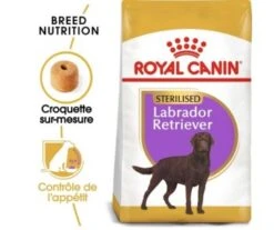 Jardin Extérieur -Jardin Extérieur croquettes labrador 1