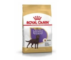 CROQUETTES CHIEN LABRADOR RETRIEVER STERILISED 12KG - ROYAL CANIN