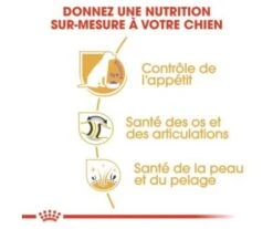 CROQUETTES CHIEN LABRADOR RETRIEVER STERILISED 12KG - ROYAL CANIN -Jardin Extérieur croquettes labrador 3