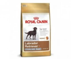CROQUETTES CHIEN LABRADOR RETRIEVER STERILISED 12KG - ROYAL CANIN -Jardin Extérieur croquettes labrador 4