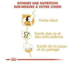 CROQUETTES CHIEN LABRADOR RETRIEVER ADULT 12KG - ROYAL CANIN -Jardin Extérieur croquettes labrador adult 12kg 2