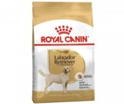 CROQUETTES CHIEN LABRADOR RETRIEVER ADULT 12KG - ROYAL CANIN