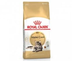 CROQUETTES CHAT MAINE COON ADULT 4KG - ROYAL CANIN