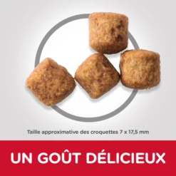 CROQUETTES CHIEN MATURE 5+ GRANDE RACE POULET 18KG - HILL'S -Jardin Extérieur croquettes mature adult 5 1