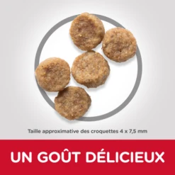 CROQUETTES CHIEN MATURE 7+ SMALL & MINI POULET 3KG - HILL'S 5 CROQUETTES CHIEN MATURE 7+ SMALL & MINI POULET 3KG - HILL'S -Jardin Extérieur croquettes mature adult7
