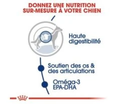 CROQUETTES CHIEN MAXI ADULT 15KG - ROYAL CANIN 7 CROQUETTES CHIEN MAXI ADULT 15KG - ROYAL CANIN -Jardin Extérieur croquettes maxi adult 15kg 2