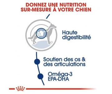 CROQUETTES CHIEN MAXI ADULT 15KG - ROYAL CANIN 3 CROQUETTES CHIEN MAXI ADULT 15KG - ROYAL CANIN – Image 3