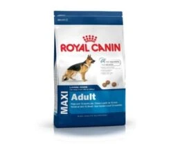 CROQUETTES CHIEN MAXI ADULT 15KG - ROYAL CANIN 9 CROQUETTES CHIEN MAXI ADULT 15KG - ROYAL CANIN -Jardin Extérieur croquettes maxi adult 15kg 4