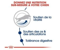 CROQUETTES CHIEN MAXI ADULT 5+ 15KG - ROYAL CANIN -Jardin Extérieur croquettes maxi adult5 15kg 2