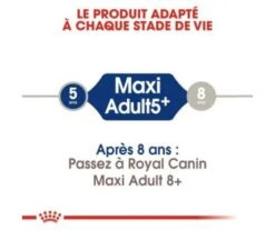 CROQUETTES CHIEN MAXI ADULT 5+ 15KG - ROYAL CANIN -Jardin Extérieur croquettes maxi adult5 15kg 3