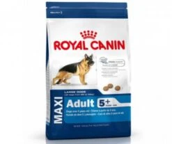 CROQUETTES CHIEN MAXI ADULT 5+ 15KG - ROYAL CANIN -Jardin Extérieur croquettes maxi adult5 15kg 4