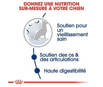 CROQUETTES CHIEN MAXI AGEING 8+ 15KG - ROYAL CANIN 3 CROQUETTES CHIEN MAXI AGEING 8+ 15KG - ROYAL CANIN – Image 3